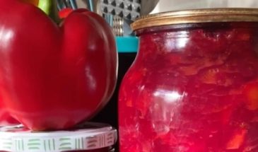 Два в одном: рецепт заправки для борща, которую можно использовать, как салат