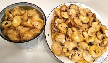 Рецепт: Засолка груздей — Мой любимый способ! Быстро и вкусно!