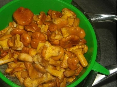 Маринованные лисички на зиму