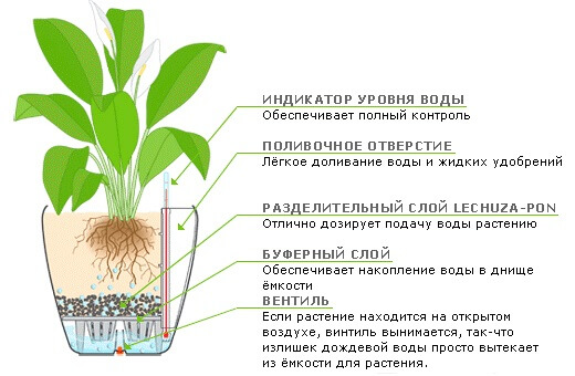 Кашпо ЛЕЧУЗА (LECHUZA) с автополивом: комбинация стиля и удобства