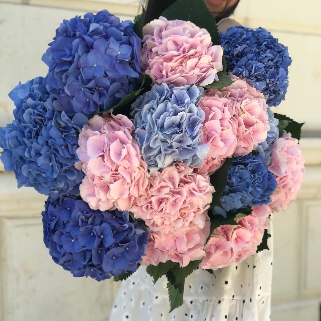 Великолепный способ проявить чувства – заказать цветы с доставкой Алматы