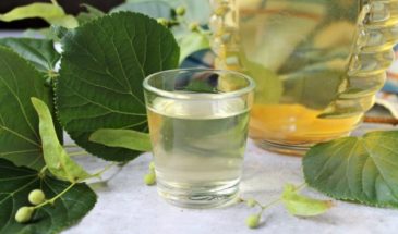 Самогон на цветах липы