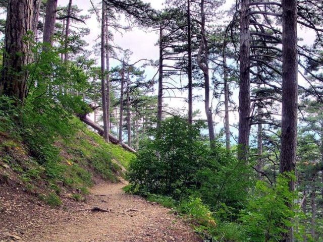 Отдых в Крыму — пешеходные маршруты