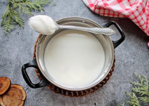 Вкусный домашний творог из молока и сметаны