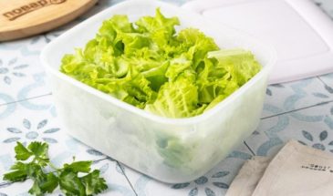 Заморозка листьев салата на зиму