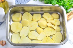 Золотистый карп с шалфеем